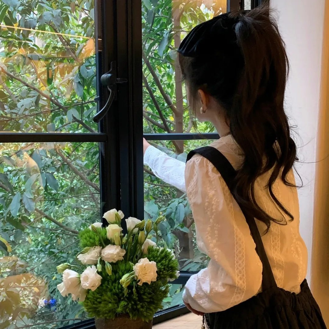 方案
